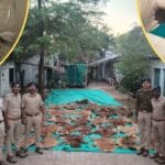 રાજપીપળામાં વન્યજીવ તસ્કરીનો પર્દાફાશ: દિવંગત મહંતના રૂમમાંથી 37 વાઘના ચામડા અને 133 નખ જપ્ત