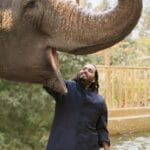 જામનગરનું રિલાયન્સ વનતારા સેન્ટર જે મોડેલ પર ઝારખંડમાં નવું Elephant Rescue Centre બનાવવામાં આવશે.