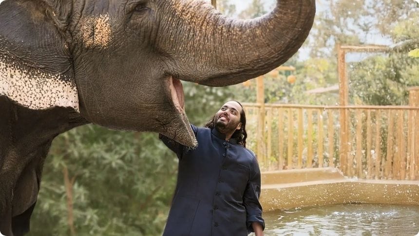 જામનગરનું રિલાયન્સ વનતારા સેન્ટર જે મોડેલ પર ઝારખંડમાં નવું Elephant Rescue Centre બનાવવામાં આવશે.